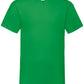 Valueweight V-Neck T